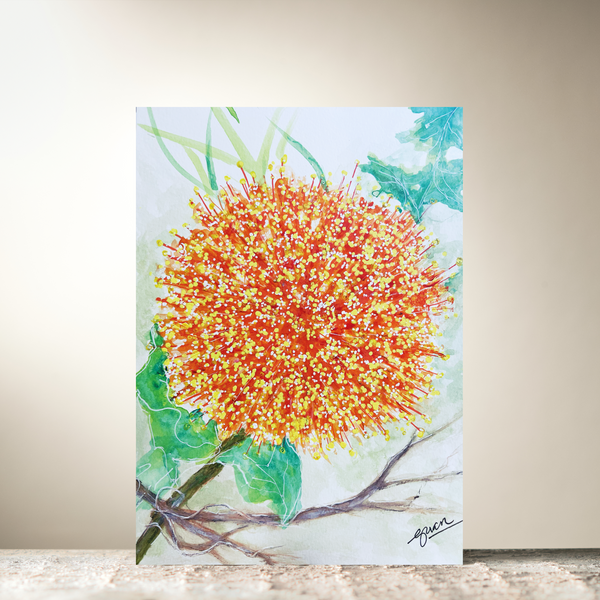 Orange Flare Flower Card By Guan