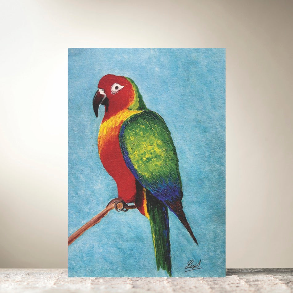 Pete The Parrot Card by Lui