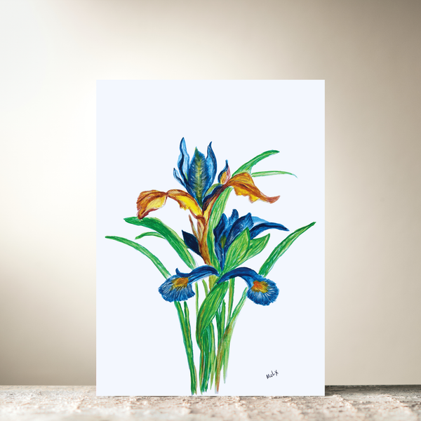 Radiant Iris by Melody