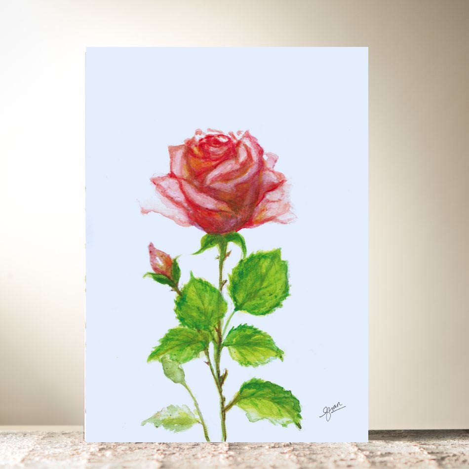 Valentine Rose Card By Guan