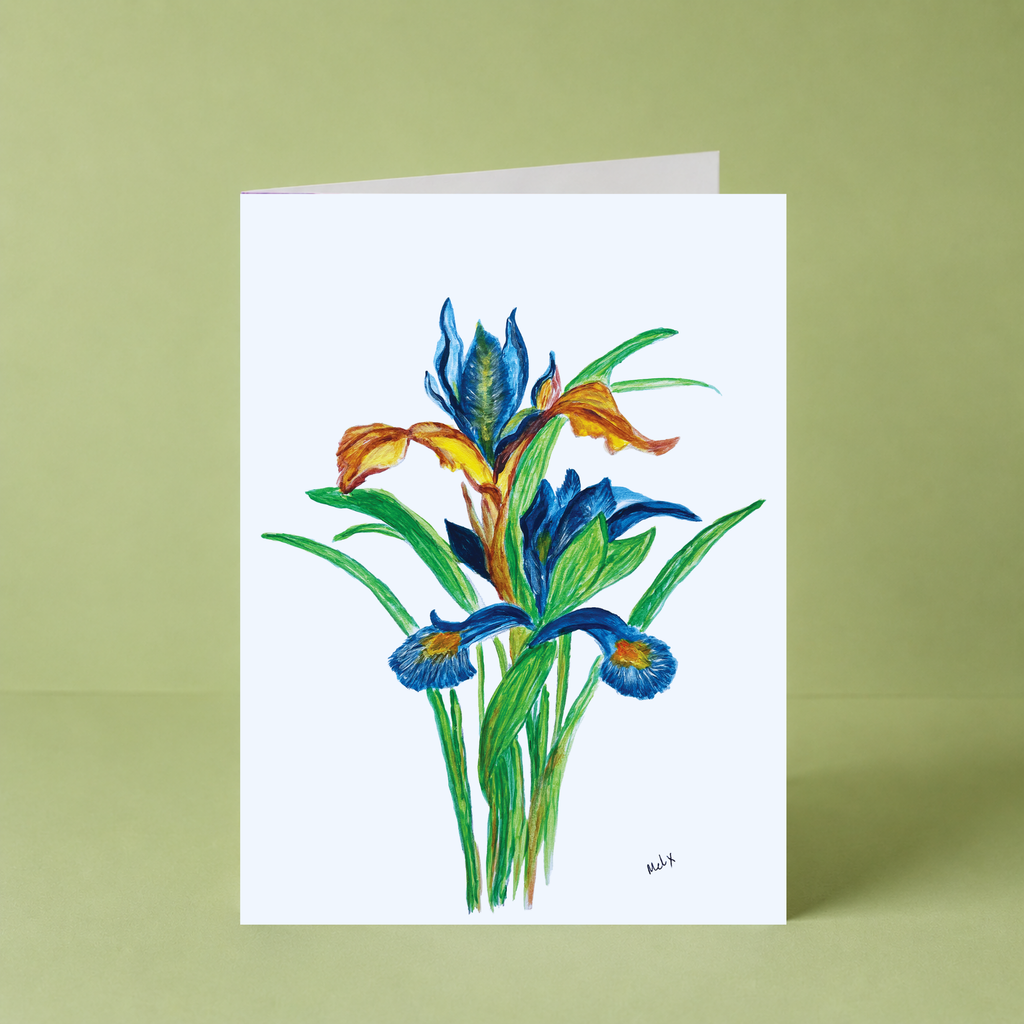 Radiant Iris by Melody
