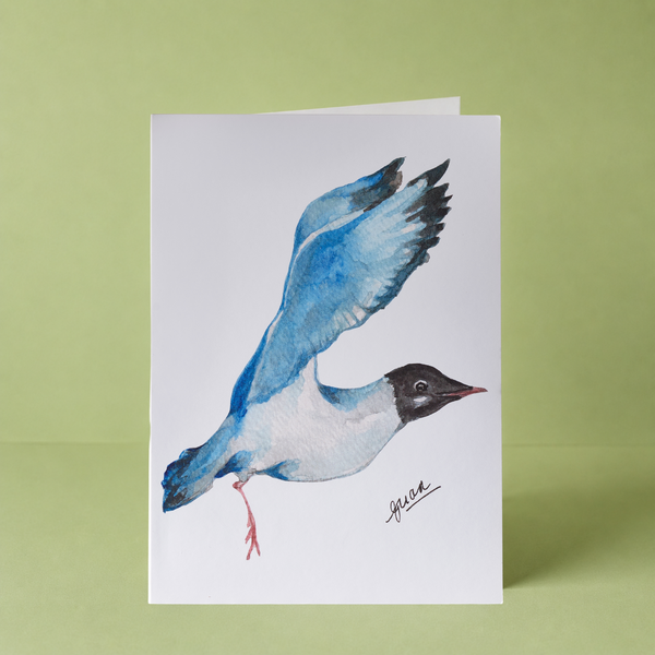 GUAN "Flying Gull" Card